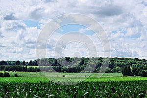 Green farm field and forestation with sky and clouds