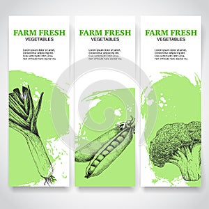 Green farm fresh vegetables banners. Leek, peas and broccoli. Sketch hand drawn veggies on green watercolor backgrounds.