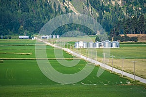 Green farm lands in summer in montana