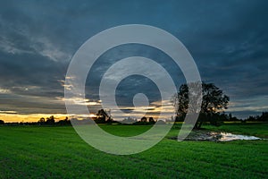 Green farmland and cloudy evening sky, Zarzecze, Poland