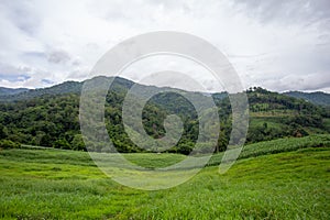 green farmland on the mountain sky background image for the text above