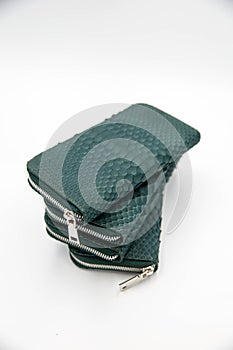 Green fashion snakeskin wallet purse isolated on a white background