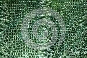 Green faux python skin snakes, crocodile, trend, fashion, background