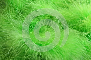 Green feathers background - stock photo