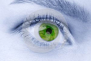Green female eye wearing contact lenses on blue toned face