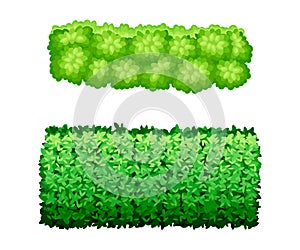 Green fence or hedge set. Shrubs and bushes of different shapes for public park, garden vector illustration