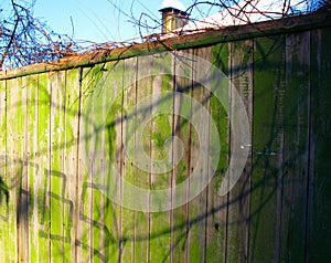 Green fence. Russia.