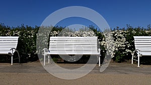 Green Fence And White Benchs