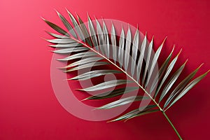 Green fern leaf on red background, one palm leaf on red background with copy space.