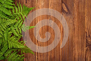 Green fern leaves on brown oak wood background with copy space