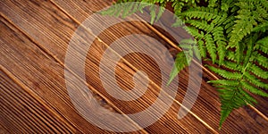 Green fern leaves on brown oak wood background with copy space