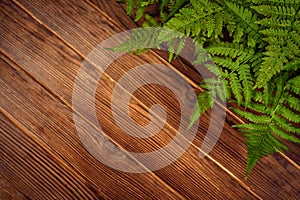 Green fern leaves on brown oak wood background with copy space