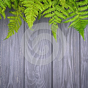 Green fern leaves on gray wood background with copy space