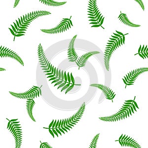 Green fern leaves seamless pattern.