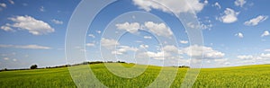 Green field against a blue sky background. Great as a background, web banner.