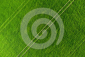 Green field background. Agricultural meadow from above. Spring fields aerial view