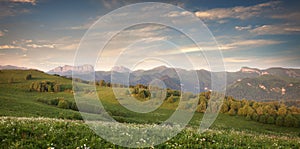 Green field on a background mountains