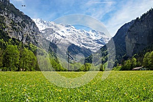 Green field at the base of the Swiss Alps