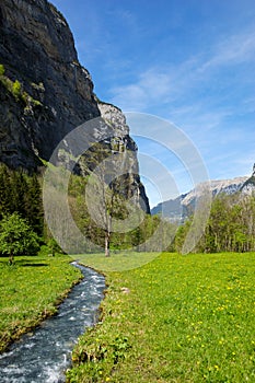 Green field at the base of the Swiss Alps