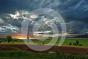 Green field.Beautiful Nature Background.Amazing Colorful Wallpaper.Sunset,sunrise,clouds,blue sky.Panorama,landscape.Meadow,cloud.