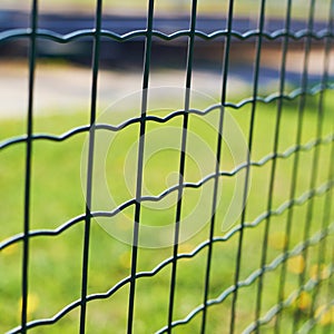 Green field behind the fence