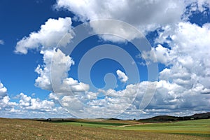 The green field and blue cloudy sky