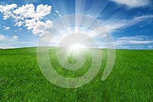 Green field and blue cloudy sky with sun