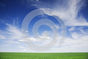 Green field, blue skies, white clouds in spring