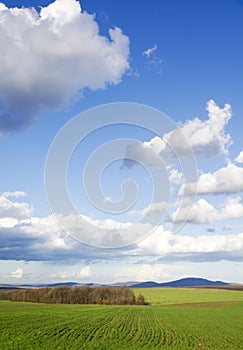 Green field and blue sky