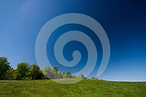 Green field and blue sky