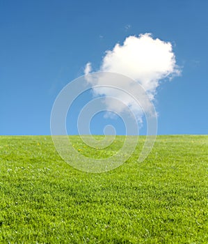 Green field and blue sky