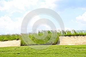 Green field and blue sky background, copy space