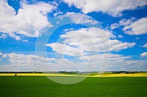 green field and blue sky with cloud