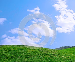 A green field with blue sky and clouds