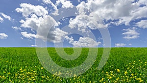 Green field with blue sky and clouds in spring time minimalism landscape ,Environment Infinity Concept