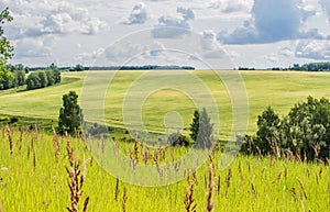 Green field and blue sky with clouds, winter wheat. Landscape of Russia, Zaraysk city