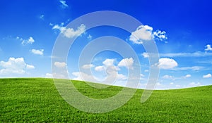Green field Blue Sky Environment Infinity Concept