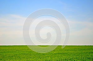 Green field and blue sky landscape background