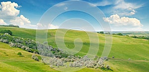 Green field and blue sky