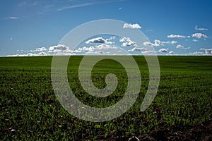 Green Field and Blue Sky