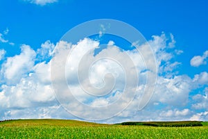 Green field, blue sky and white clouds