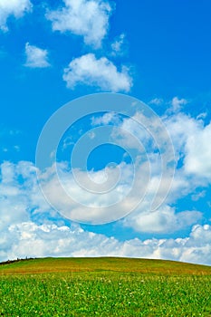 Green field, blue sky and white clouds