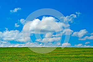 Green field, blue sky and white clouds