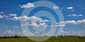 Green field, clear blue sky in a sunny spring day, Texas, USA