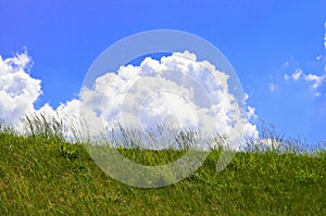 Green field and cloudy blue sky