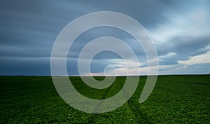 Green field and cloudy sky