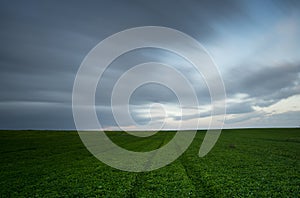 Green field and cloudy sky