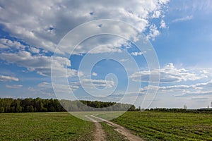 Green field with country road, and blue sky with clouds. Beautiful rural landscape