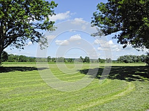 Green field in countryside