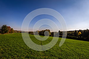 Green field on the edge of forest with deep blue sky near Hamry nad Sazavou photo